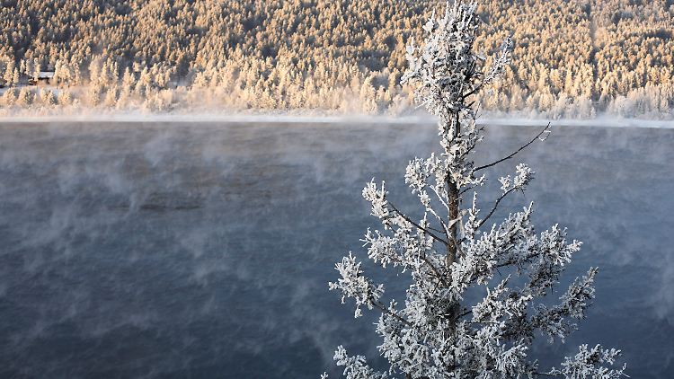 In der Taiga ist das Überleben in der Wildnis hart.