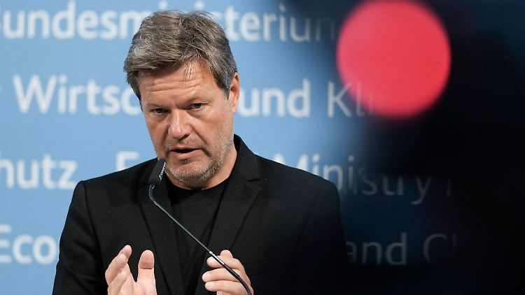 "Weniger Verbrauch ist das A und O beim Gas", meint Minister Habeck.
