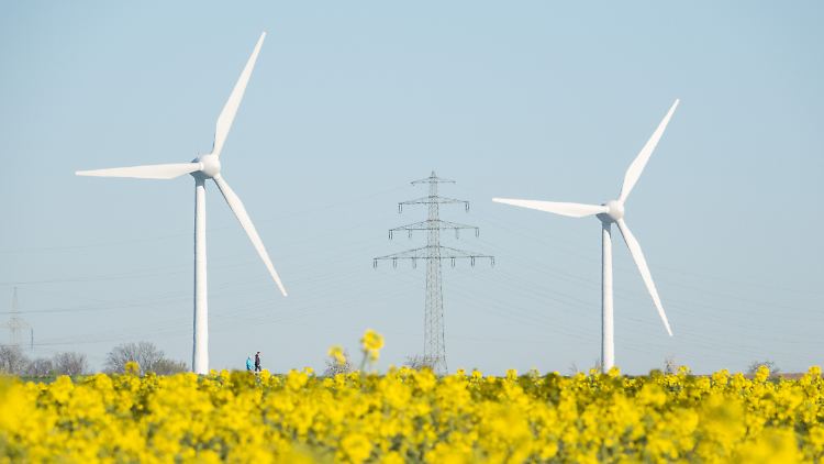Mindestabstände zu Naturschutzgebieten legen nur wenige Länder fest.