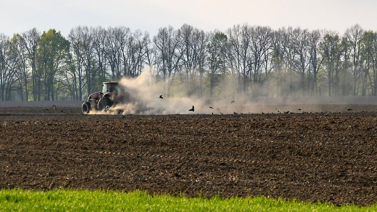 Die ukrainischen Landwirte produzieren, doch Agrar-Lager in dem Land sind voll, Ausfuhren kommen kaum voran.