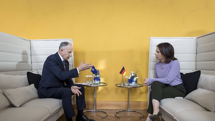 Geoana, hier im Gespräch mit der deutschen Außenministerin Baerbock, vertritt den mit dem Coronavirus infizierten NATO-Generalsekretär Stoltenberg.