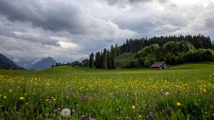 Im Verlauf der Woche ziehen wieder Wolken auf.