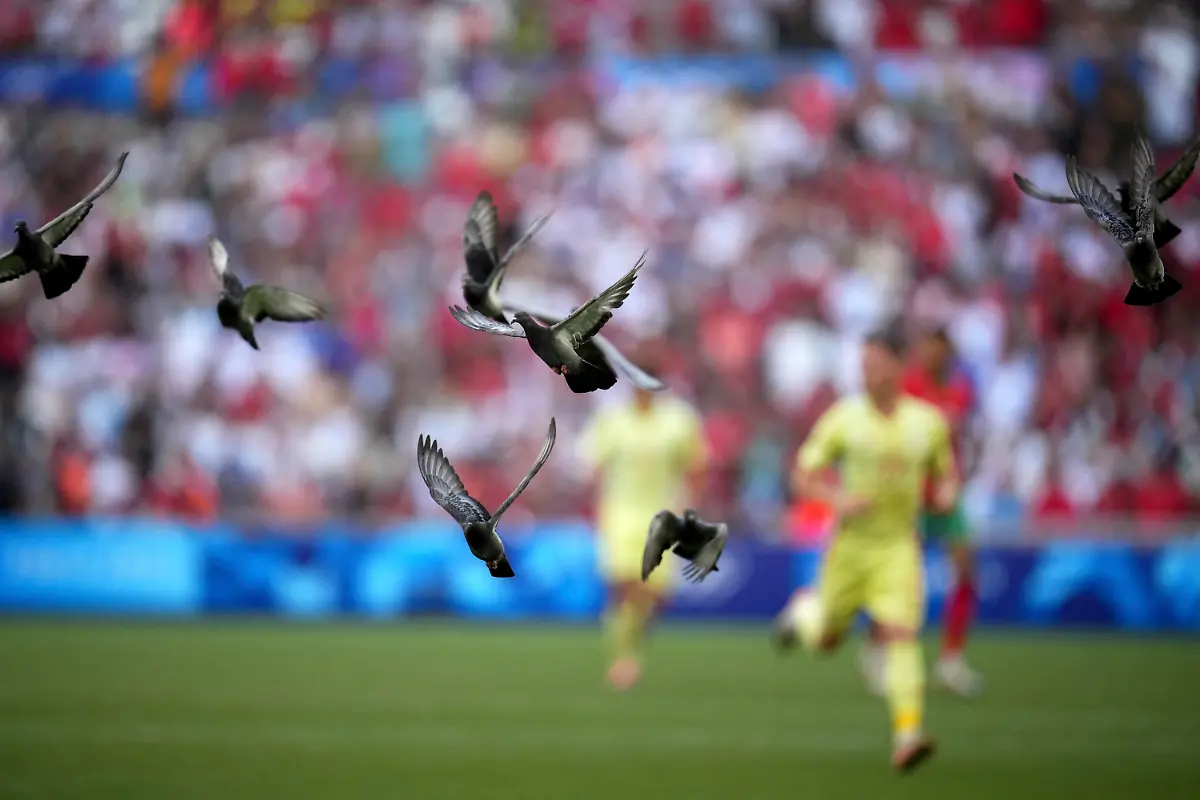 1cd7ac398accdb9cc4f5ab958af8c23c