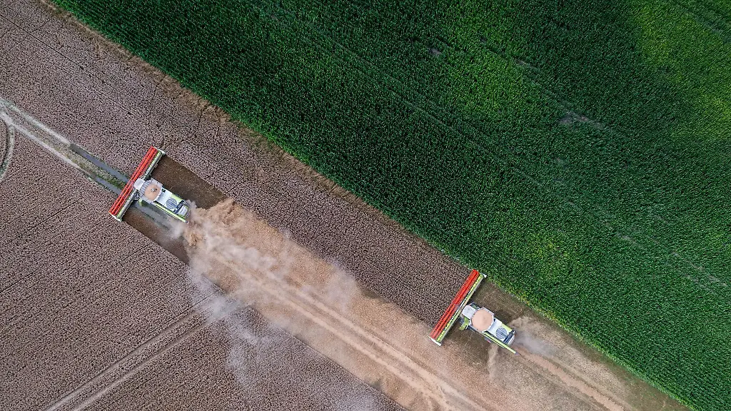 Die-Getreideernte-in-Mecklenburg-Vorpommern-faellt-dieses-Jahr-ueberdurchschnittlich-aus
