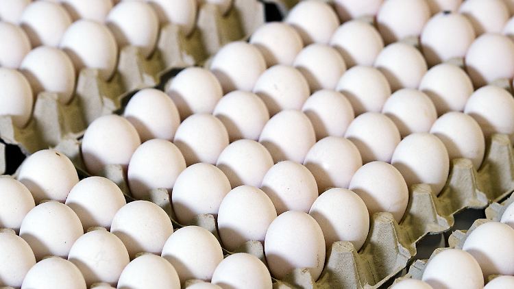 Die Großhandelspreise für Eier, Milcherzeugnisse, Fette und Öle legten um fast 30 Prozent zu.
