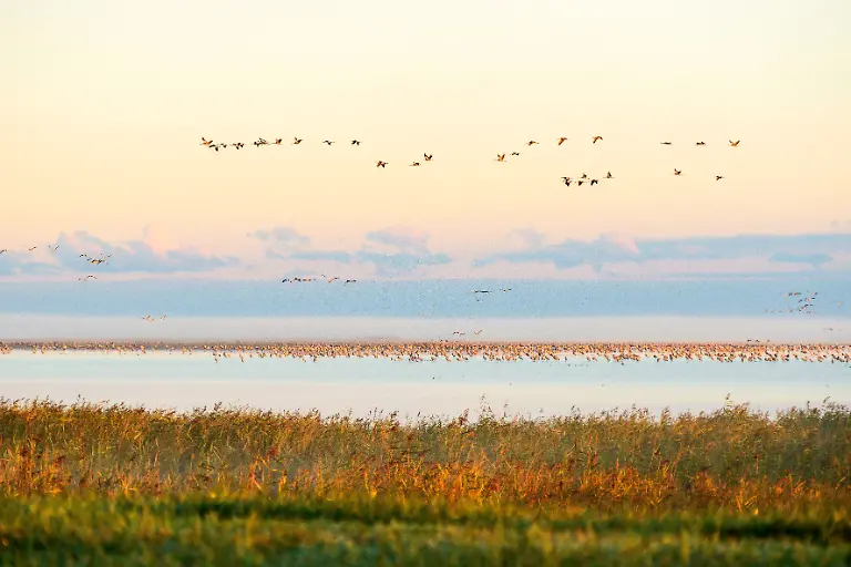 mauritius-images-2WJCEMC-Kopie