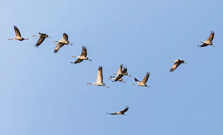 S12-1320552562-Kopie