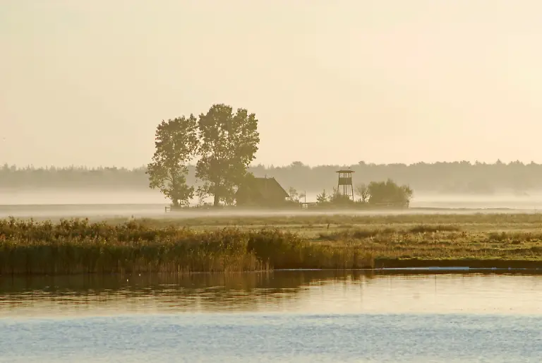 PR-4-Blick-auf-die-Vogelinsel-Oie-3965-Georg-Jung-Kopie
