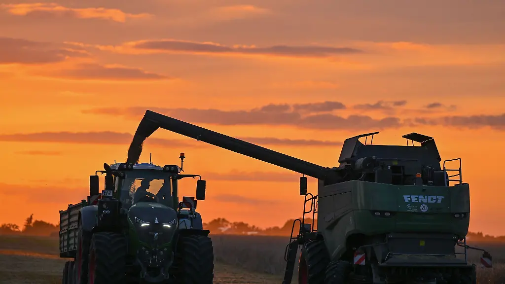 In-Brandenburg-wird-weniger-Getreide-angebaut