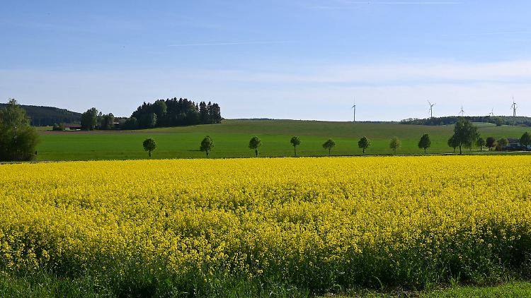 Im Südwesten wird die 30-Grad-Marke in den kommenden Tagen mehrfach geknackt.