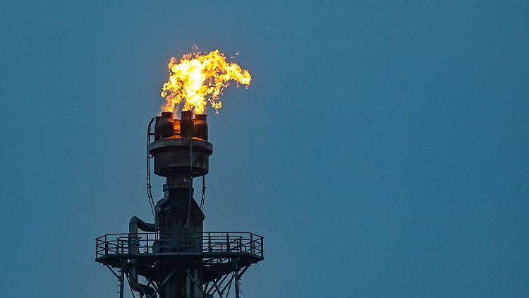 Vor allem der Ausbau der erneuerbaren Energien müsste dringend beschleunigt werden, wenn die G7-Staaten bis 2025 kein russisches Gas mehr beziehen wollen. 
