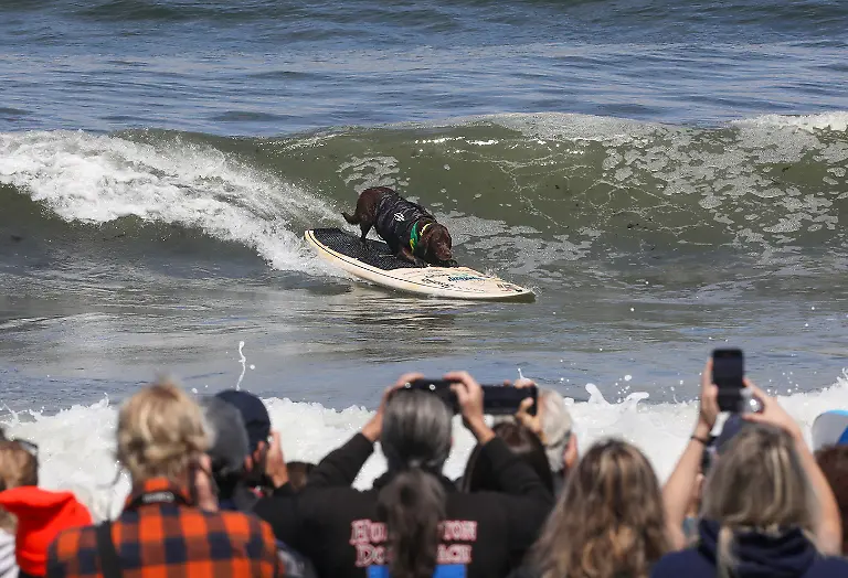 0a3154e844479e03174b28fc825e4256