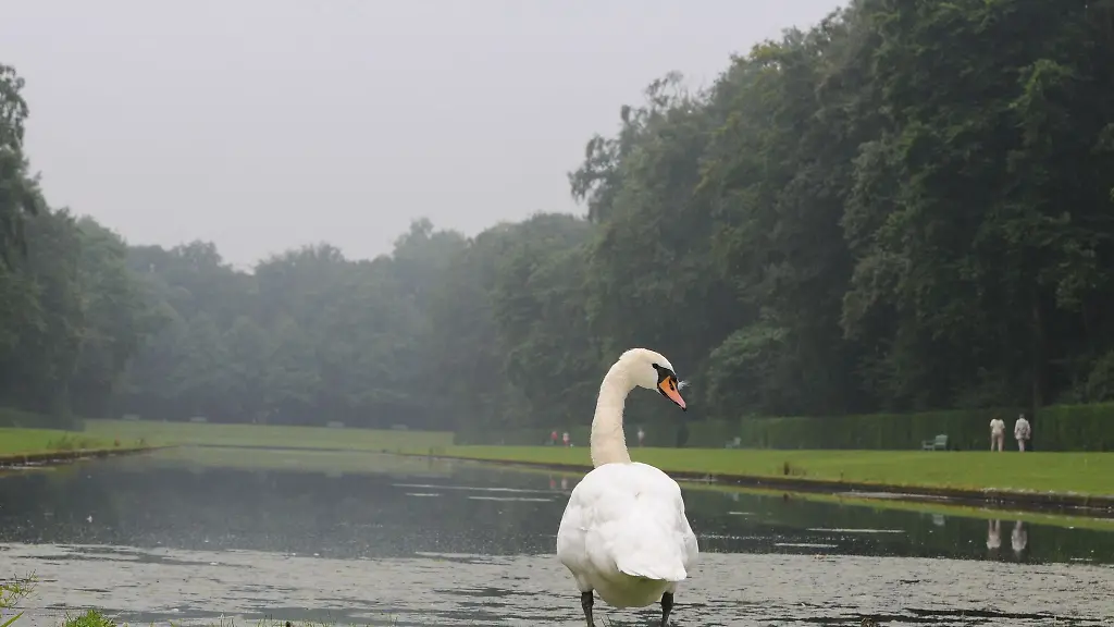 Am-Wochenende-war-es-bewoelkt-in-NRW-in-der-kommenden-Woche-soll-das-Wetter-aber-schoener-werden