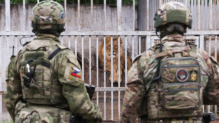 Russische Soldaten vor einem Löwenkäfig im Zoo im Mariupol. 