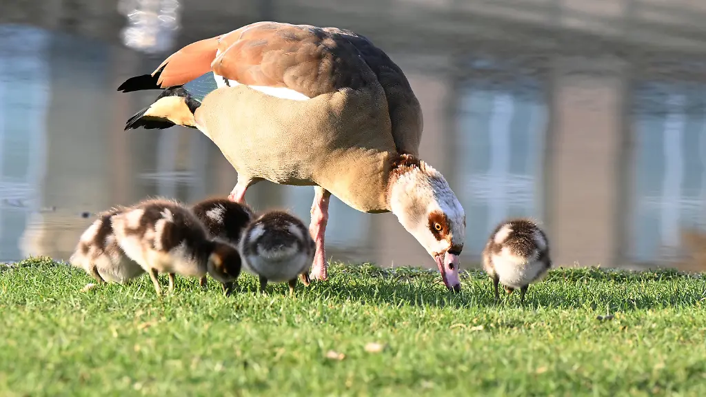 74f6c9bccb9e1f818e549c52a1fbeff1