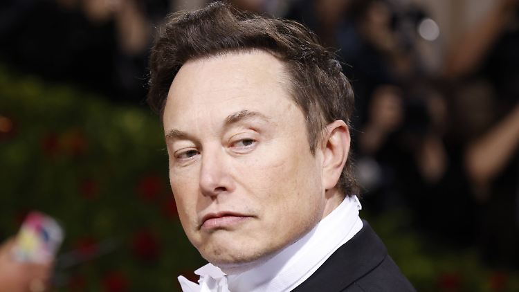 Elon Musk will Twitter offenbar zur Cashcow machen.