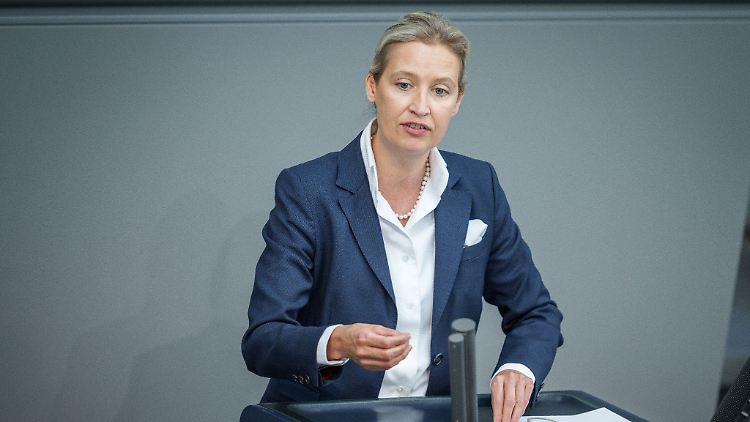 Alice Weidel, Fraktionsvorsitzende der AfD.