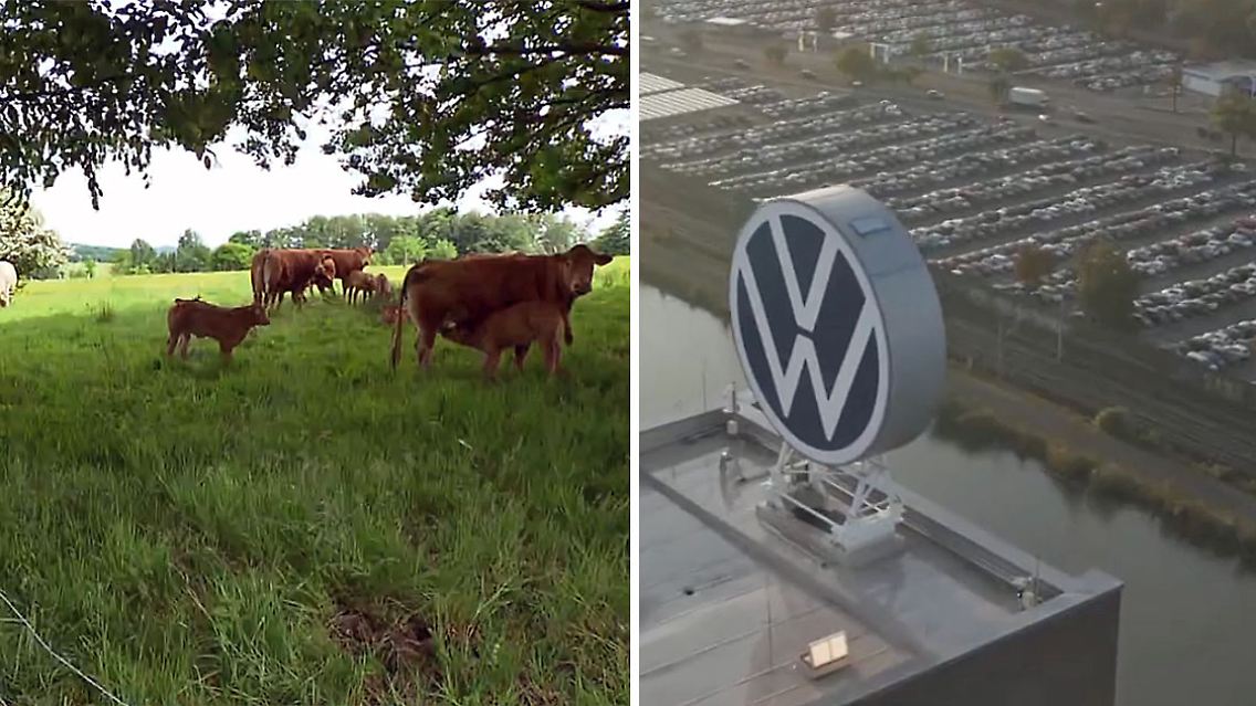 VWklage.jpg