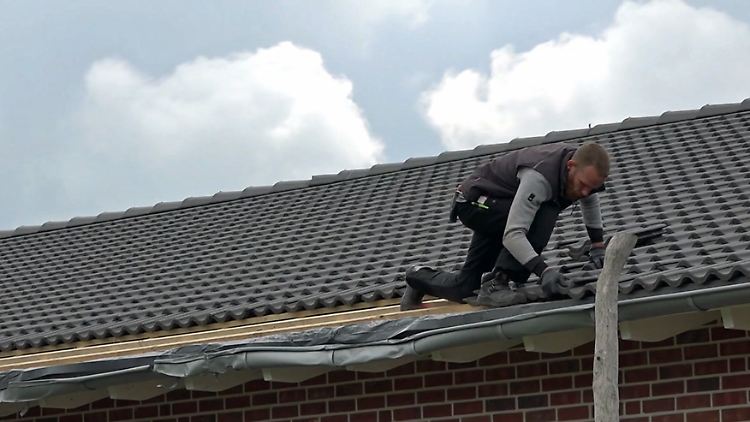 dachdecker Kopie.jpg