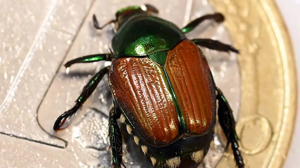 fd26476f211c1d89d590bec2c63caf3f