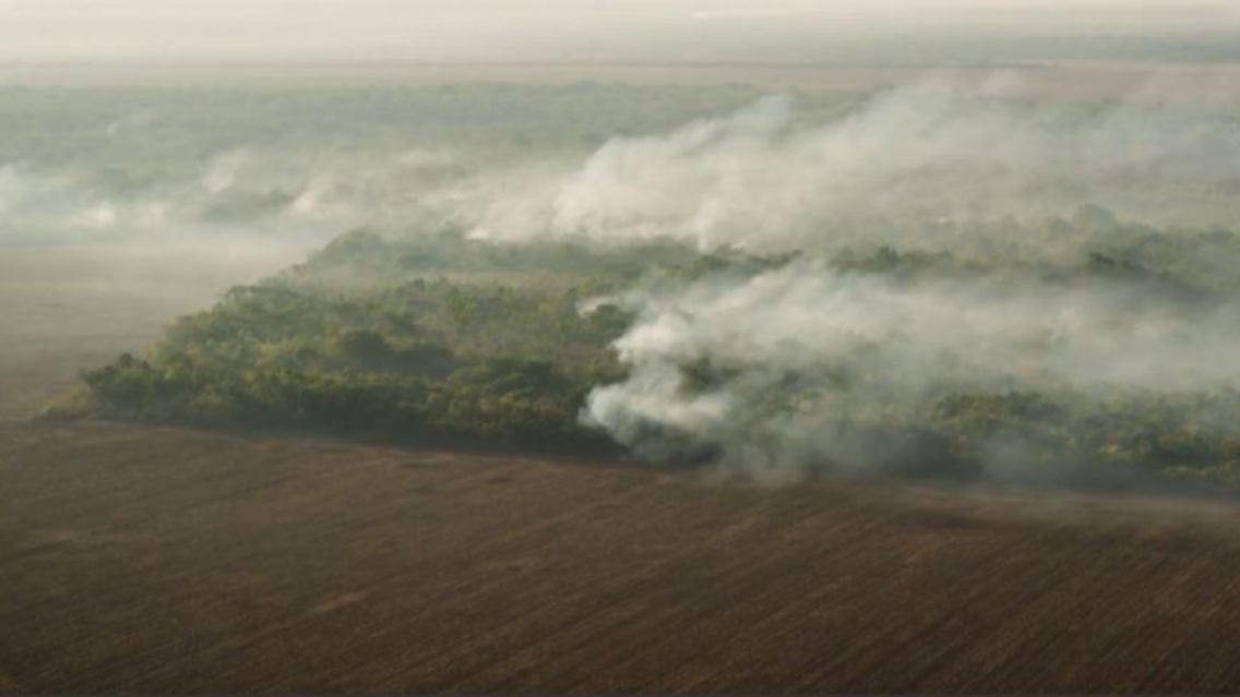 amazonas.JPG