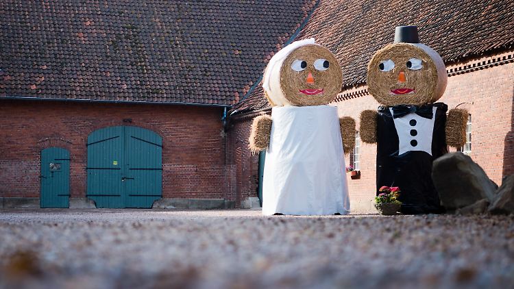 Bei der RTL-Kuppelshow um Inka Bause fanden schon einige Landwirte die große Liebe. Am 25. April 2022 startete die 18. Staffel des Kult-Formats.