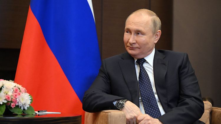 Russlands Präsident: Wladimir Putin