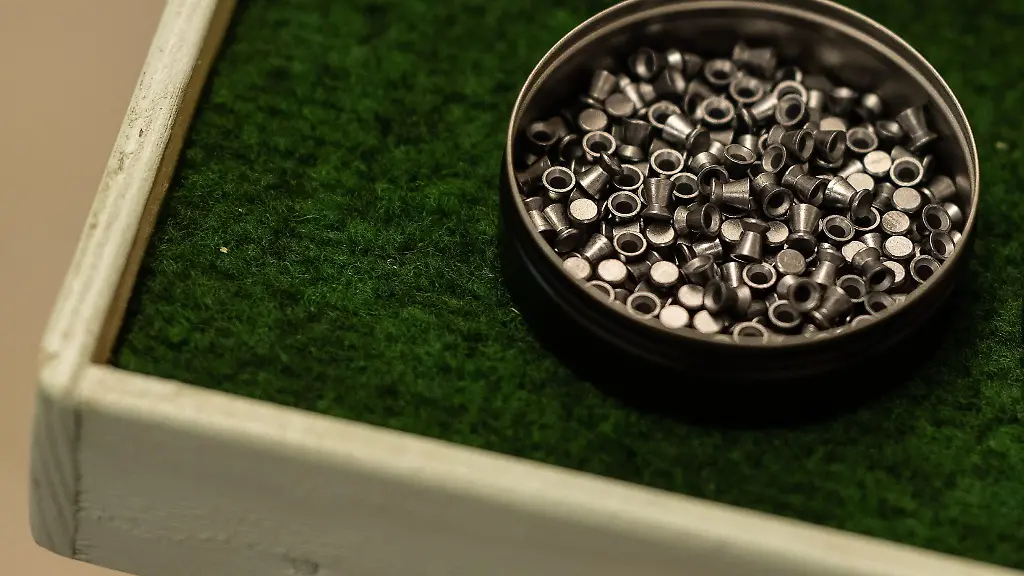 Nachdem-ein-Hund-mit-mehreren-Schuessen-aus-einem-Luftgewehr-verletzt-wurde-und-daran-verendete-wird-nun-gegen-den-Schuetzen-aus-der-Naehe-von-Parchim-ermittelt