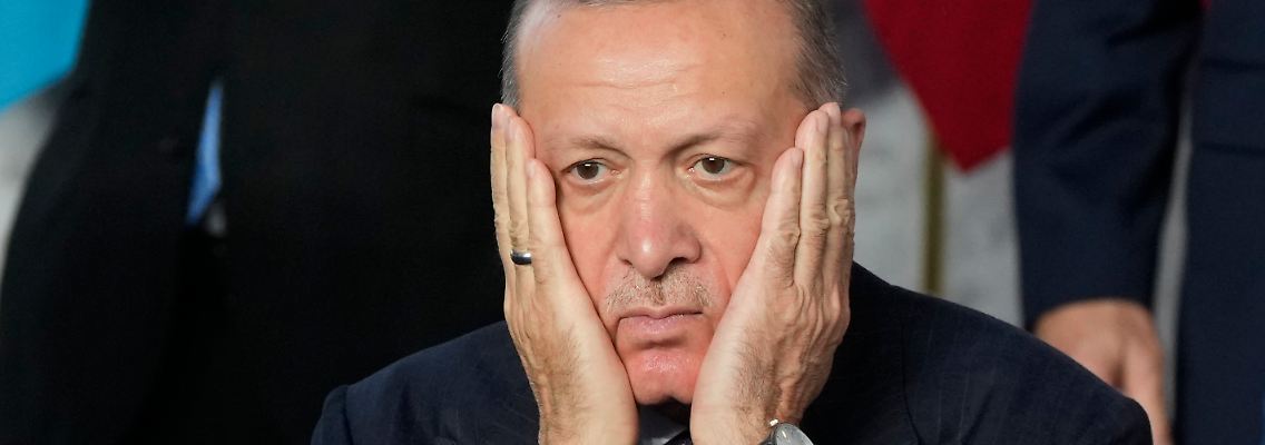 262525774.jpg