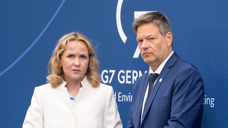 Die FDP verlangt von den Grünen-Ministern Lemke und Habeck Aufklärung.