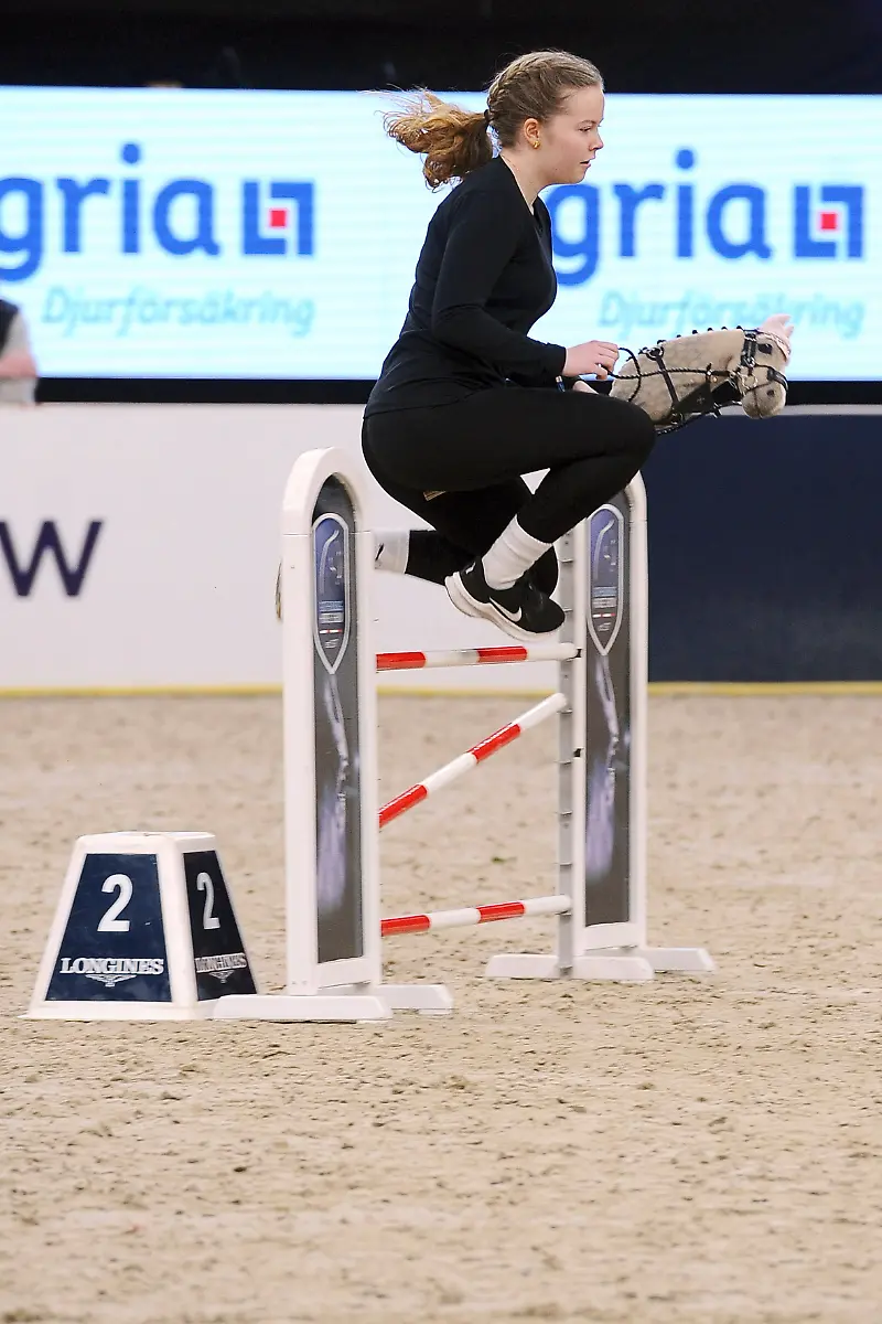 HobbyHorse-girl-profi