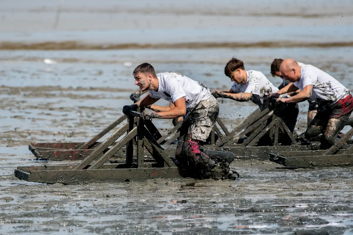 613d8cff3e80a3d89ea95dd3c759e7fa