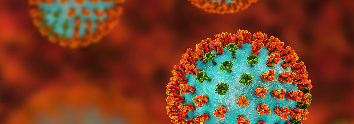 H3N2 Influenza.jpg