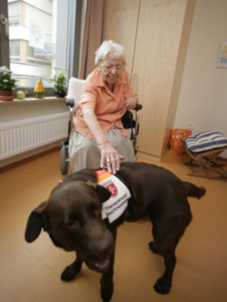 Therapiehündin "Aika" ist ein gern gesehener Gast.