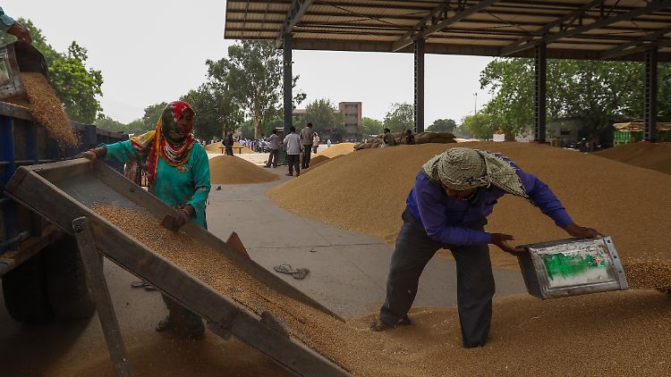 Indien führt Exportbeschränkungen für Weizen ein. 