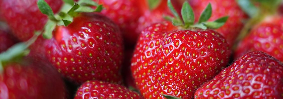 Frisch gepflückte Erdbeeren.