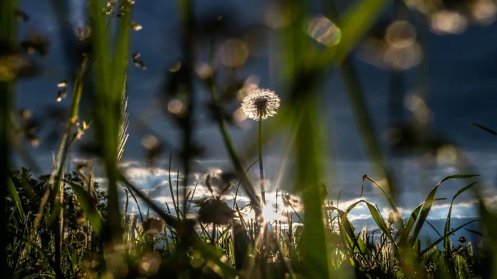 Die-Sonne-schien-in-Hessen-rund-233-Stunden-im-Juli