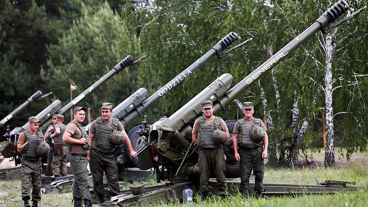 Eine ukrainische schnelle Eingreiftruppe mit Haubitzen (Archivbild von 2016).