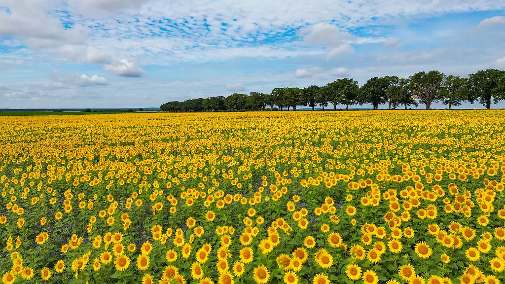 Das-Wetter-in-Berlin-und-Brandenburg-bleibt-bis-zum-Ende-der-Woche-sommerlich-warm-und-trocken