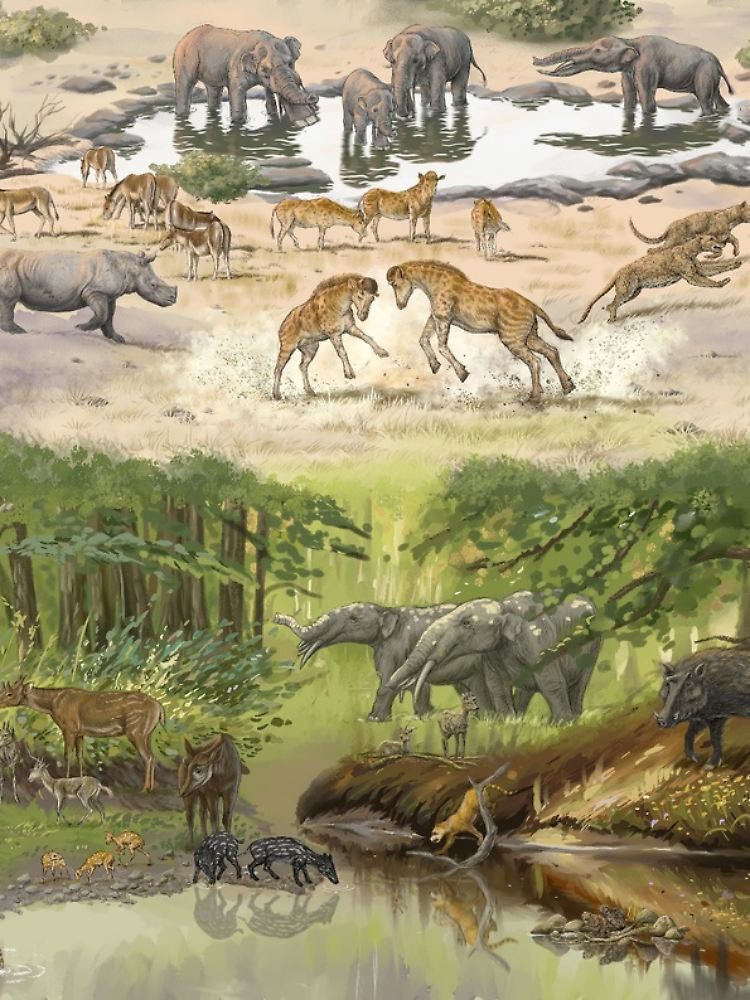 Tiergruppen im Junggar-Becken in China vor 17 Millionen Jahren, Discokeryx xiezhi in der Mitte.