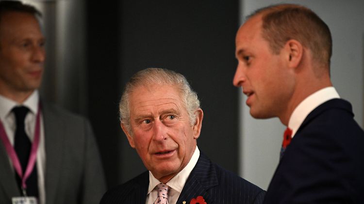 Wollen die Queen mit einer besonderen Rede ehren: Prinz Charles und Prinz William.