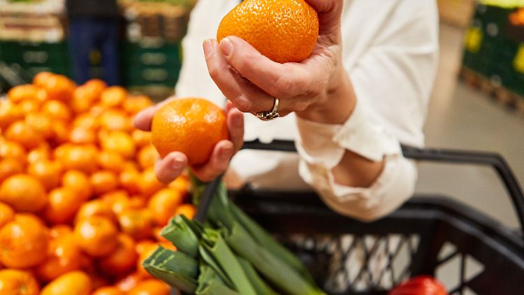 Obst, Gemüse und Hülsenfrüchte sollen laut Landwirtschaftsminister Özdemir günstiger werden. Dafür soll die Mehrwertsteuer wegfallen.