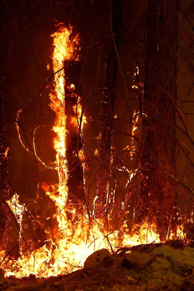 4e83c9ca1bf492353f7b1976d7a541e6