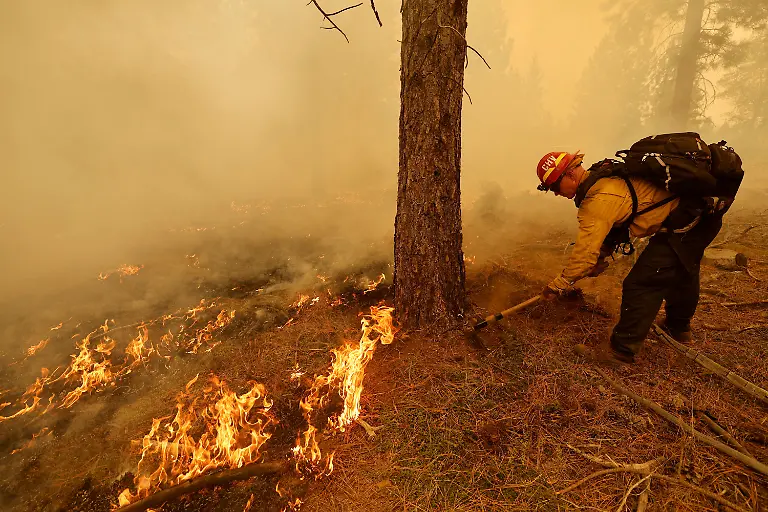 b01a217ff7bb6e48019a127a879c3a3c