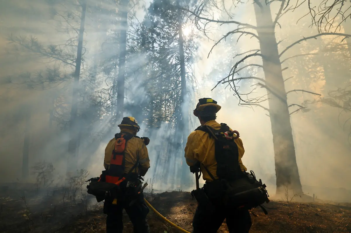 e4d930bca6b2c2bff939f996cc9d7240