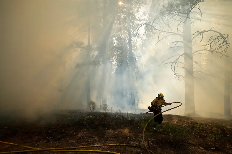 a867a8fbd74ad03594eeea470cbe2b9a