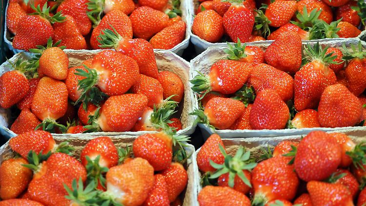 Die Leute seien beim Kauf von Erdbeeren zögerlicher, sagt Bauernpräsident Rulwied. 