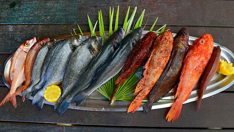 In Fisch stecken viele wertvolle Stoffe wie Vitamine, Spurenelemente und Omega-3-Fettsäuren.