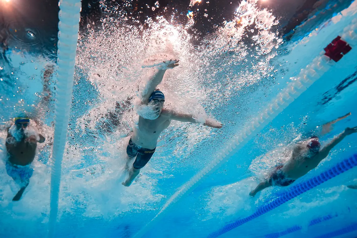 e43d0639203be2c1b357a78d9855b43a