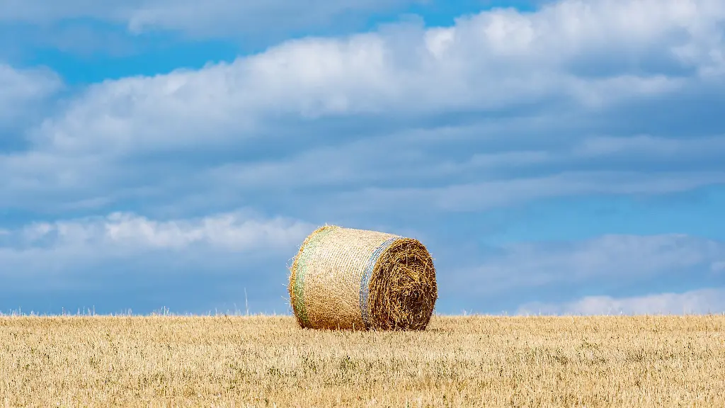 Im-Zollernalbkreis-ist-ein-Strohballen-auf-die-Strasse-gerollt-und-hat-ein-Auto-getroffen